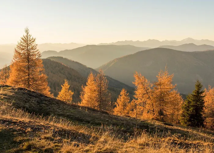 Alpenhof M&E