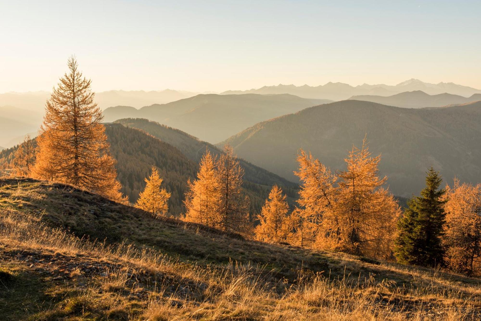 Alpenhof M&e *