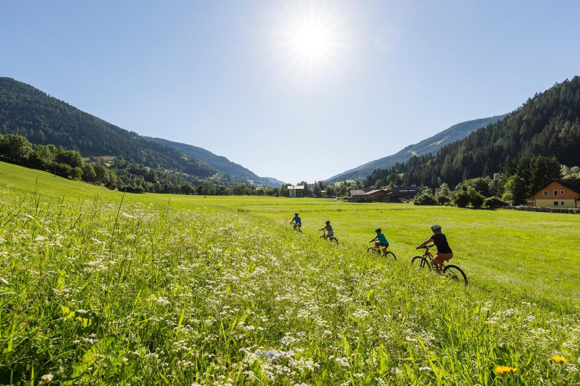 Alpenhof M&e Appartement Bad Kleinkirchheim